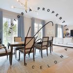 PHOTO-2025-08-27-12-00-52 3