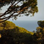 CasaMonique_CabreradeMar-00064