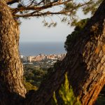 CasaMonique_CabreradeMar-00066