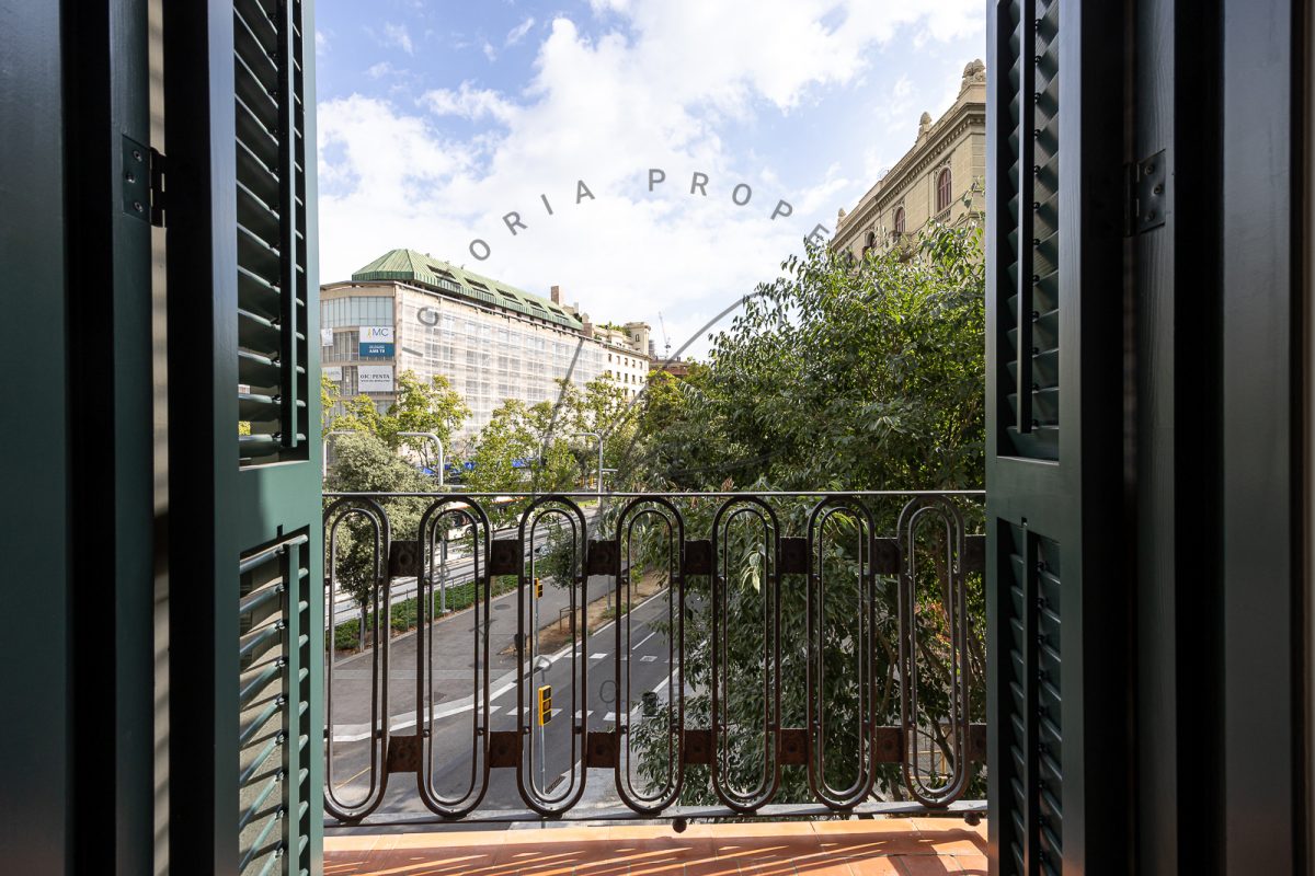 jordi soriano iniesta