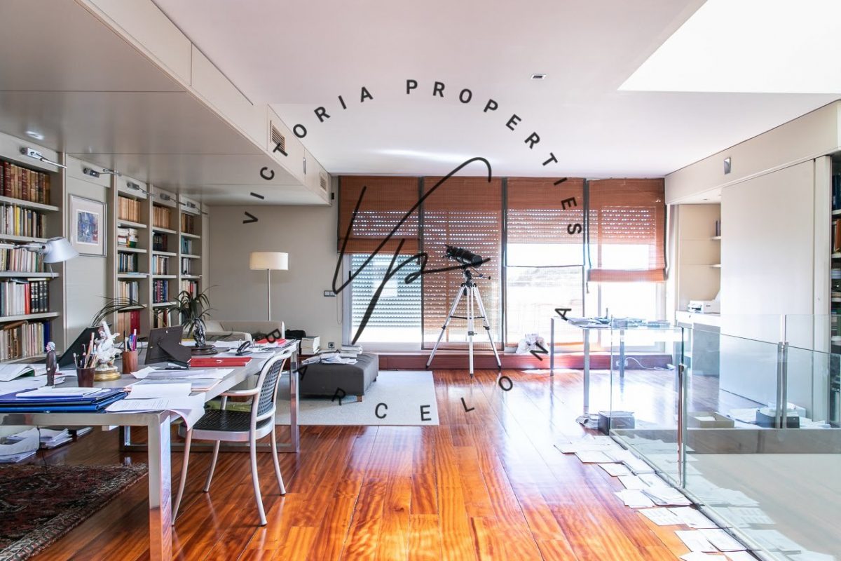 Jaume_Cancer34_3ª-31