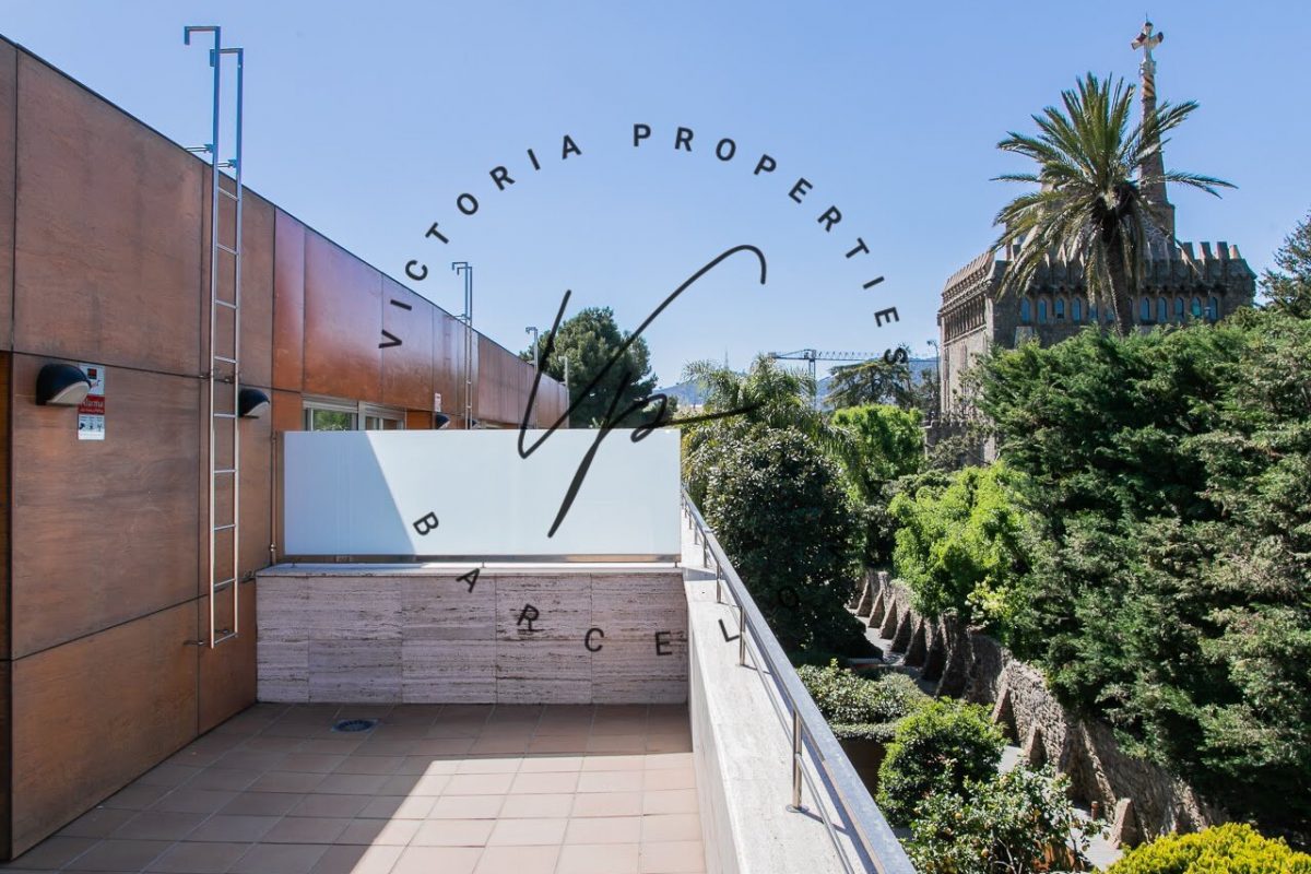 Jaume_Cancer34_3ª-38