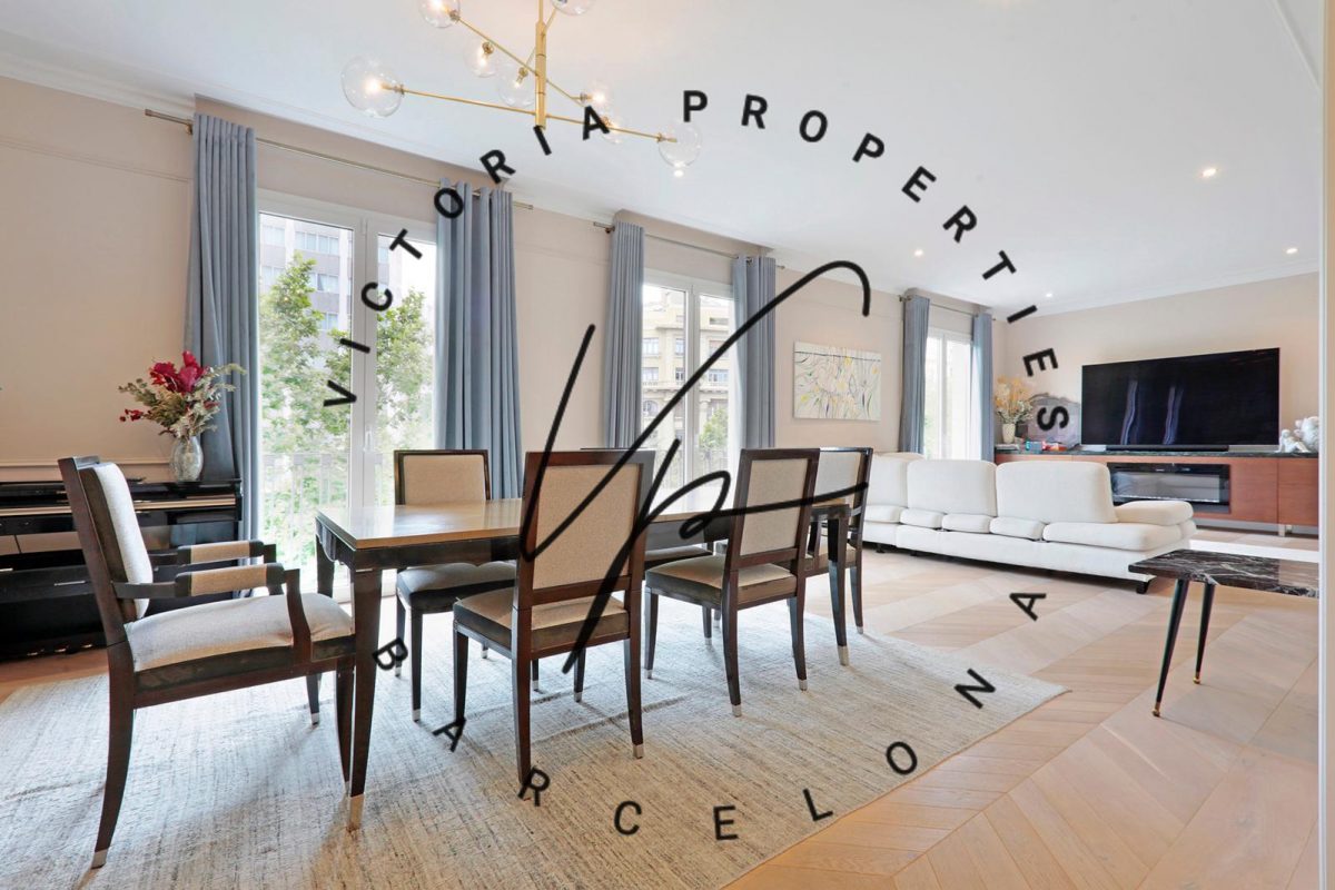 PHOTO-2025-08-27-12-00-52 3