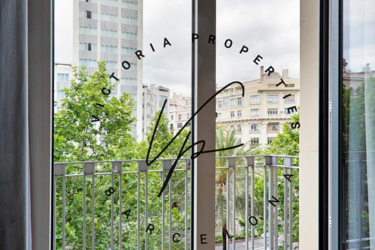 PHOTO-2025-08-27-12-00-53 3