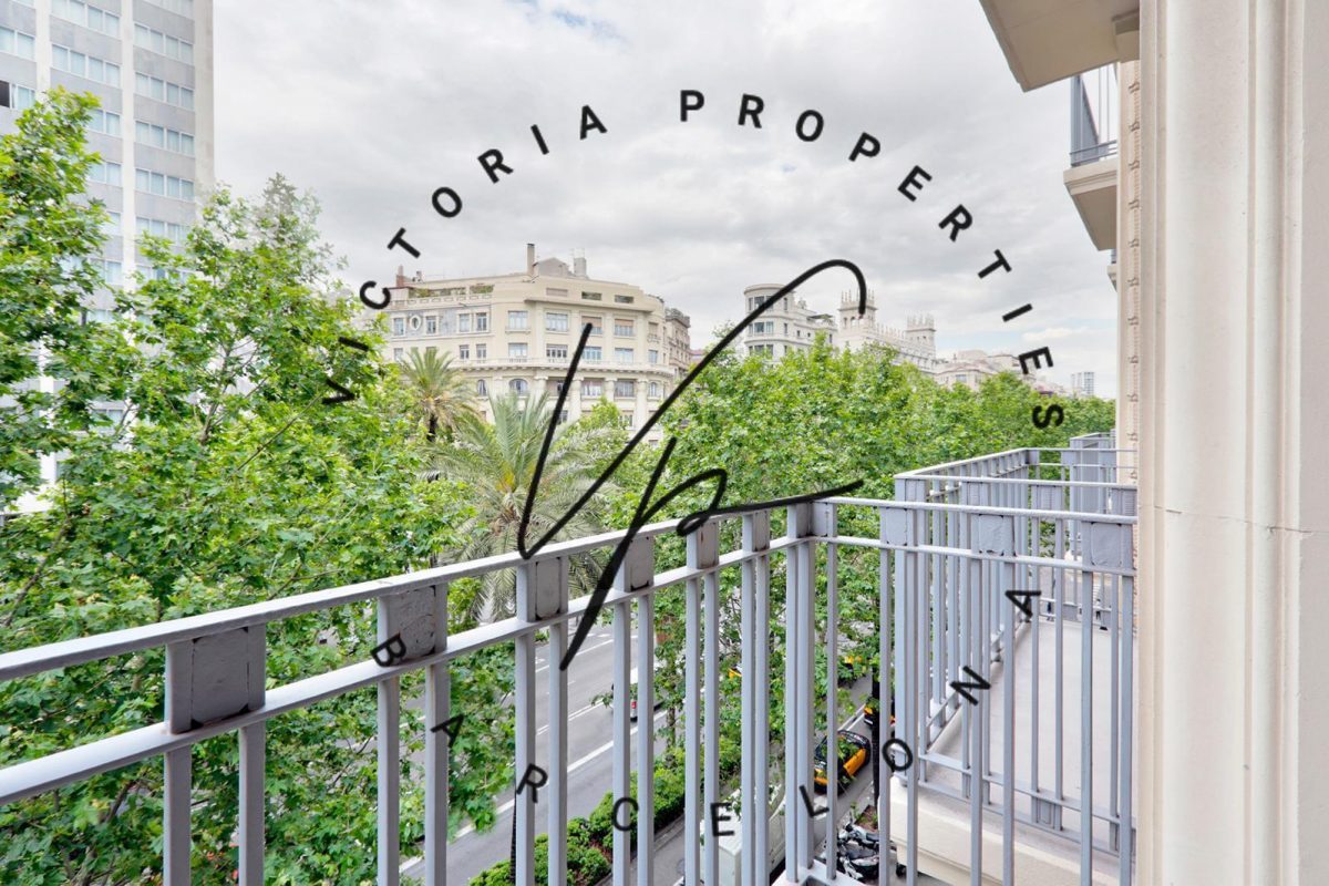 PHOTO-2025-08-27-12-00-57 3