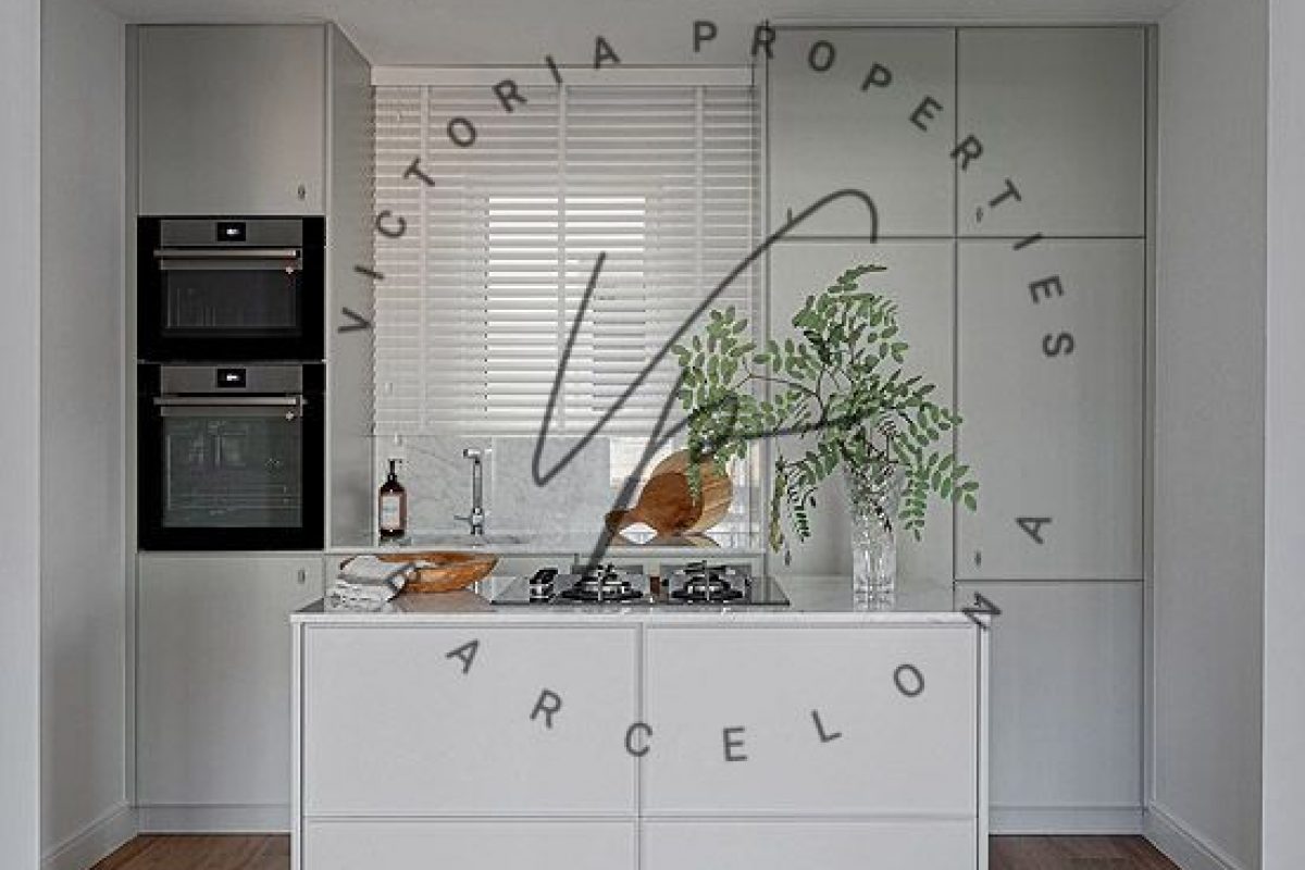 PHOTO-2026-02-19-21-07-20 2