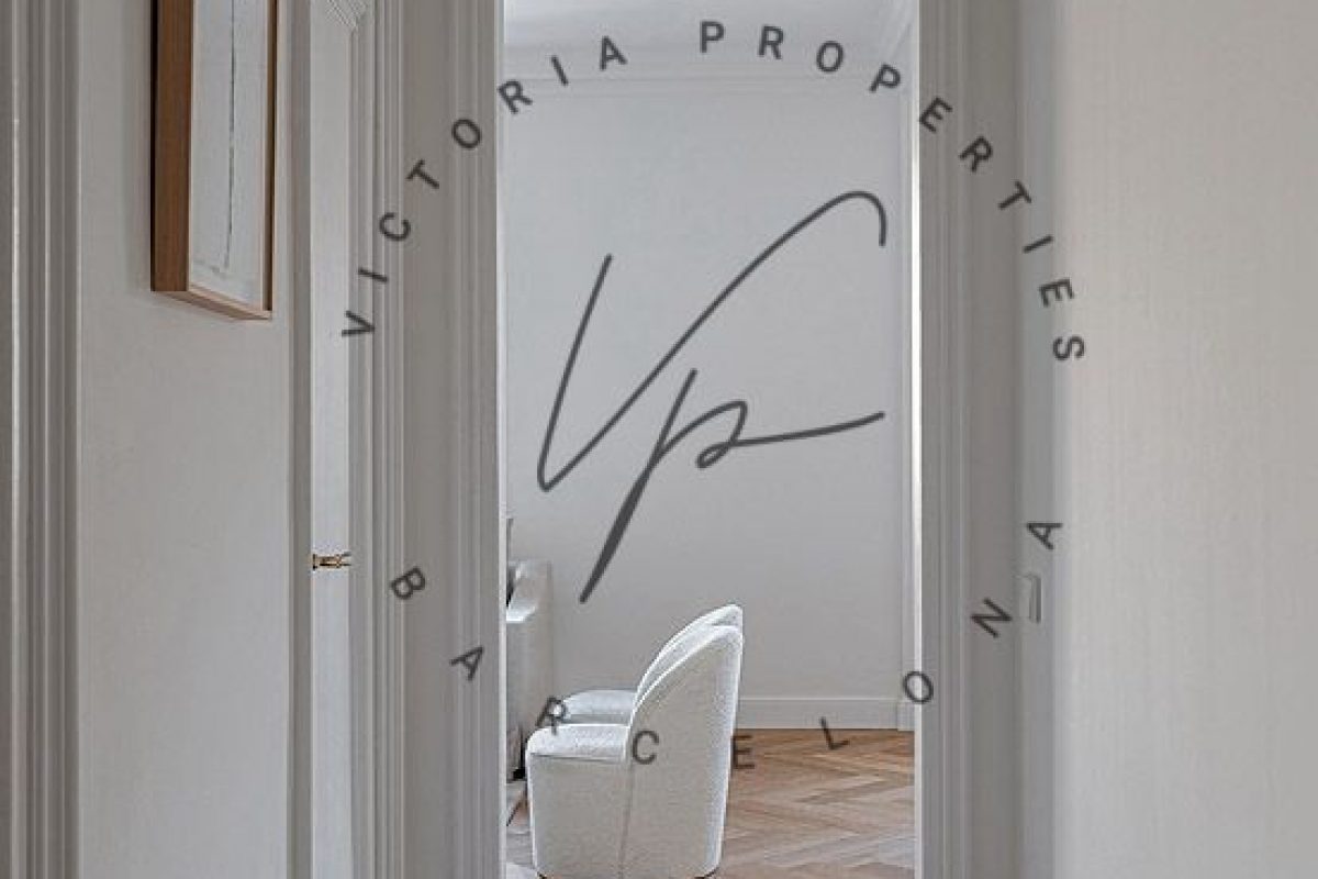 PHOTO-2026-02-19-21-07-20