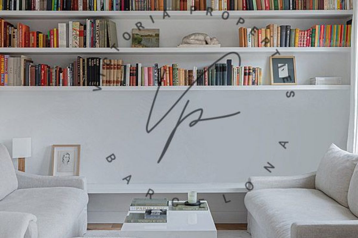 PHOTO-2026-02-19-21-07-21