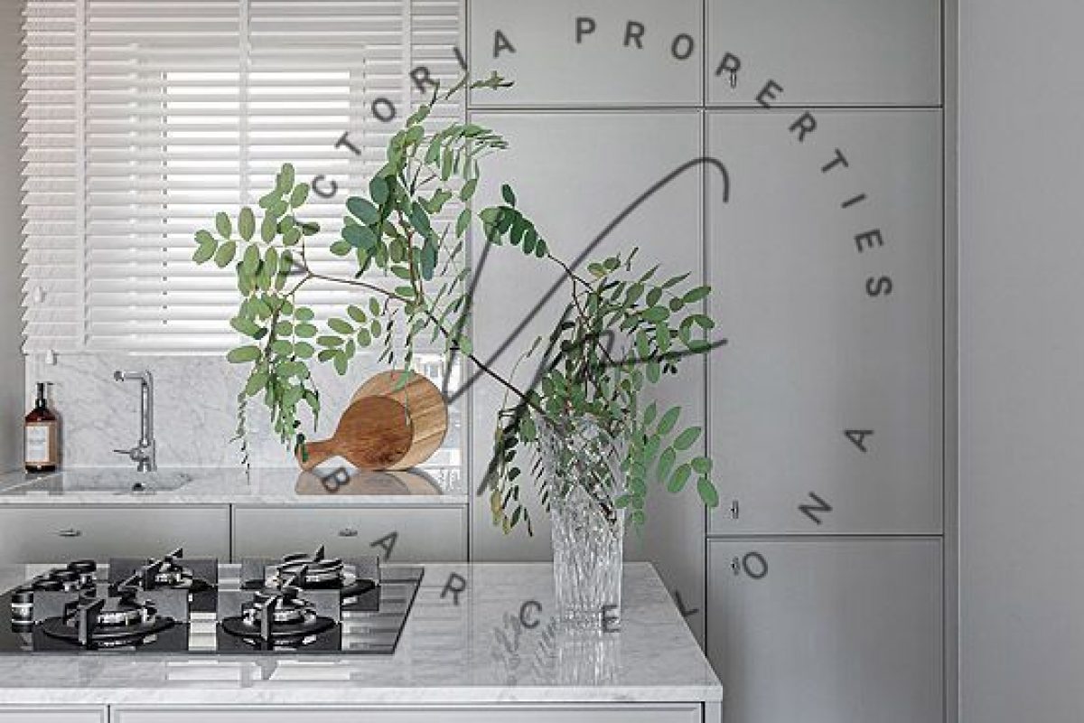 PHOTO-2026-02-19-21-07-23 3